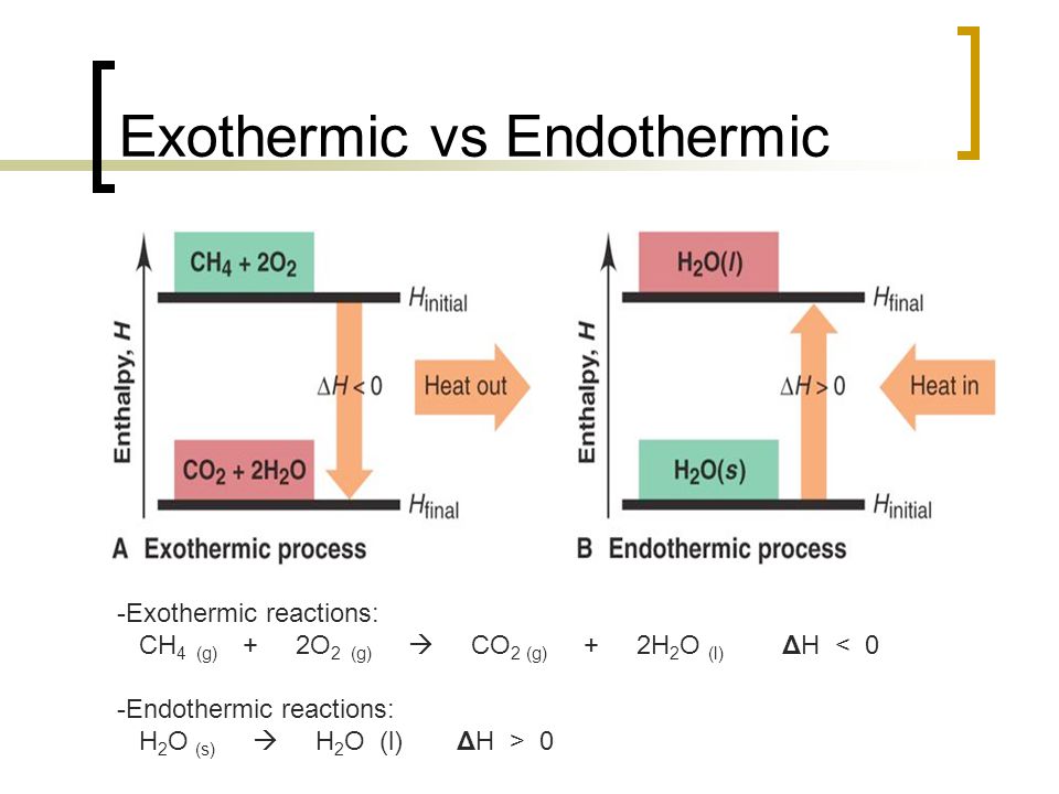 Is Hell Endothermic or Exothermic